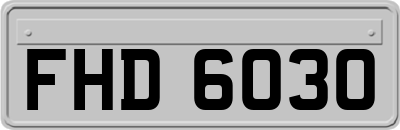 FHD6030