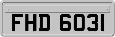 FHD6031