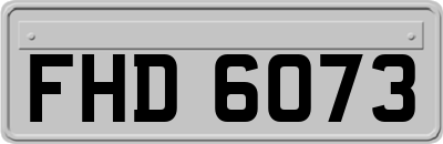 FHD6073