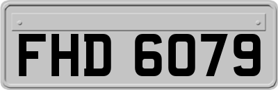 FHD6079