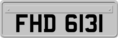 FHD6131