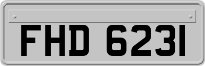 FHD6231