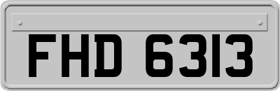 FHD6313