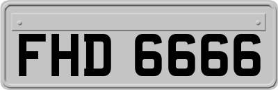 FHD6666