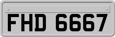 FHD6667