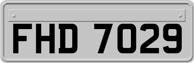 FHD7029