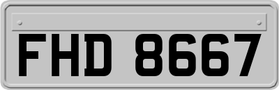 FHD8667