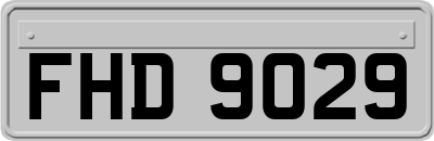FHD9029