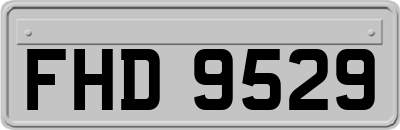 FHD9529