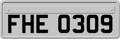 FHE0309