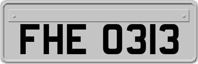 FHE0313