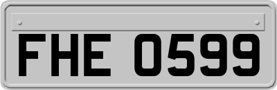 FHE0599