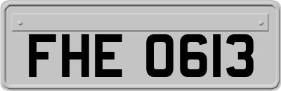 FHE0613