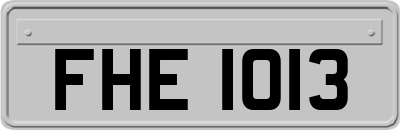 FHE1013