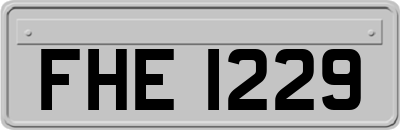 FHE1229