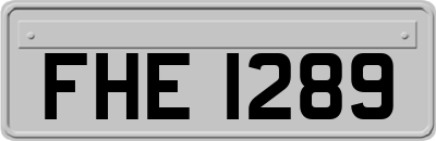 FHE1289