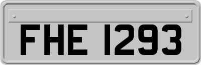FHE1293