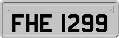 FHE1299