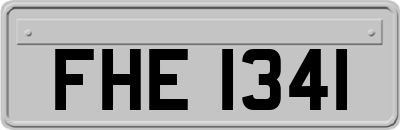 FHE1341