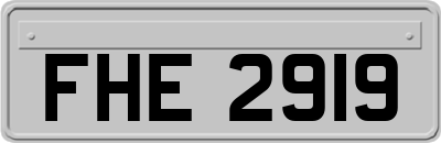 FHE2919