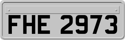 FHE2973