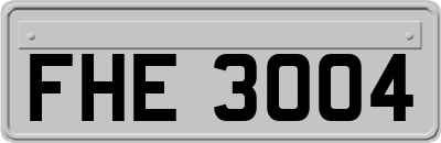 FHE3004