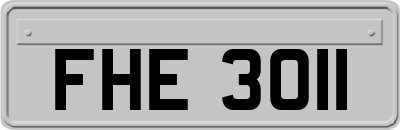 FHE3011