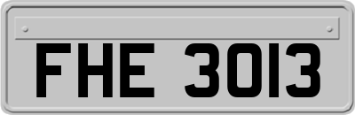 FHE3013