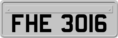 FHE3016