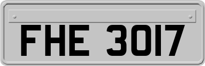 FHE3017