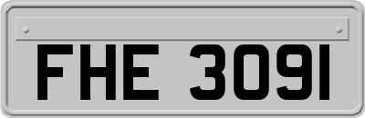 FHE3091