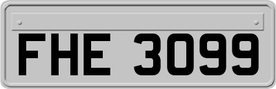 FHE3099