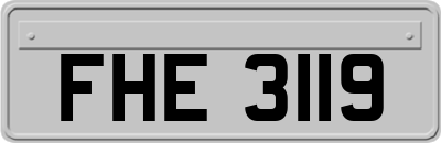 FHE3119