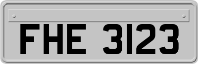 FHE3123