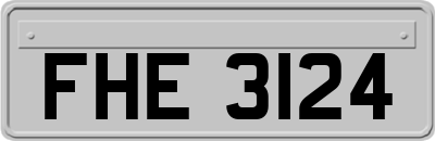 FHE3124