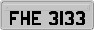 FHE3133