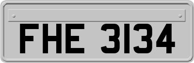 FHE3134