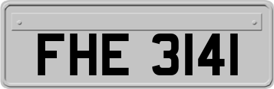 FHE3141