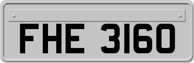 FHE3160