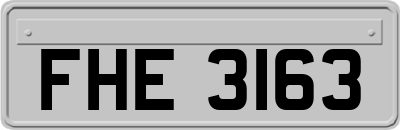 FHE3163