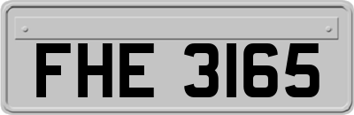 FHE3165