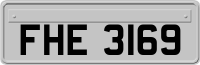 FHE3169