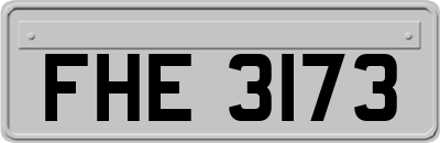 FHE3173