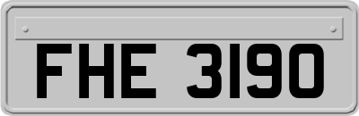FHE3190