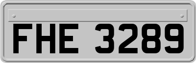 FHE3289