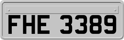 FHE3389