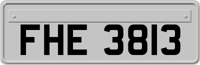FHE3813