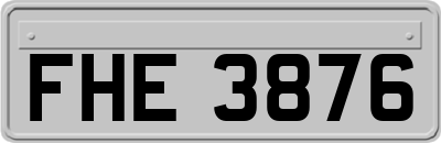 FHE3876