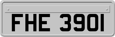 FHE3901