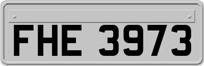 FHE3973